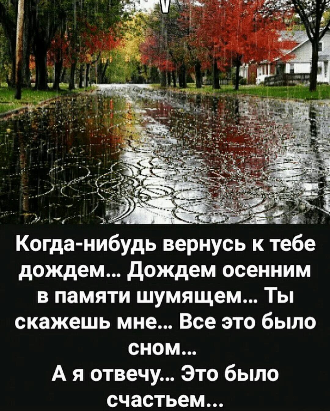 Дождь прошел стих. Когда нибудь вернусь к тебе дождем. Стихи про дождь и любовь. Стихи про дождь и любовь красивые. Осень дождь цитаты.