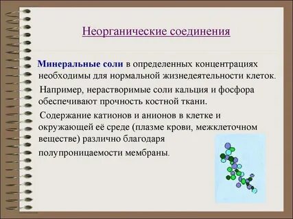 Функции неорганических и органических веществ минеральные соли