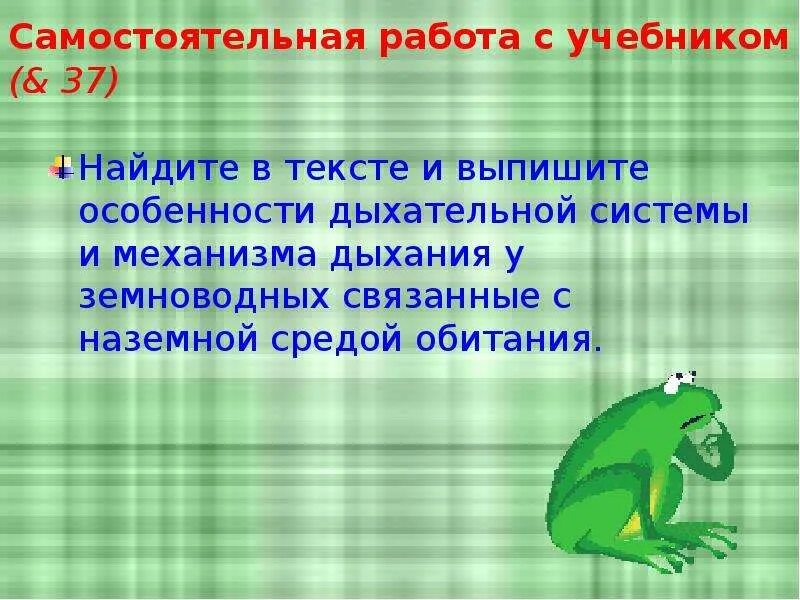 Функции дыхания у взрослых земноводных. Дыхательная система земноводных. особенности земноводных связанные с наземной средой обитания. среда обитания и органы дыхания земноводных. дыхательная система у земноводных 4 класс проект.