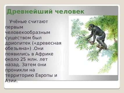 Дриопитек особенности образа жизни