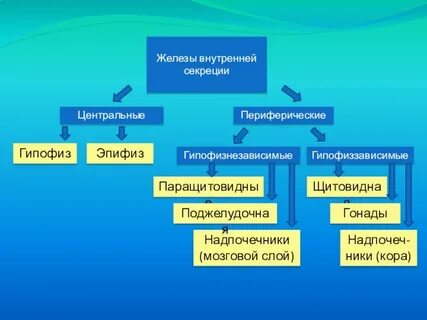 Периферическая железа