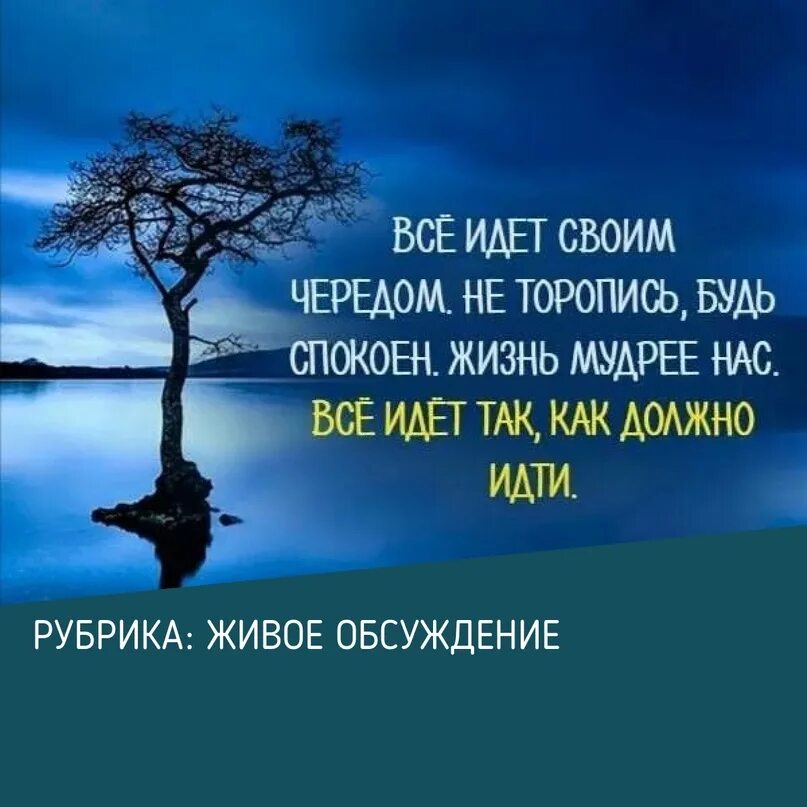 Времени жил спокойной и. Жизнь идёт своим чередом. Все идет своим чередом. Всё идёт своим чередом цитаты. Пусть идёт своим чередом.