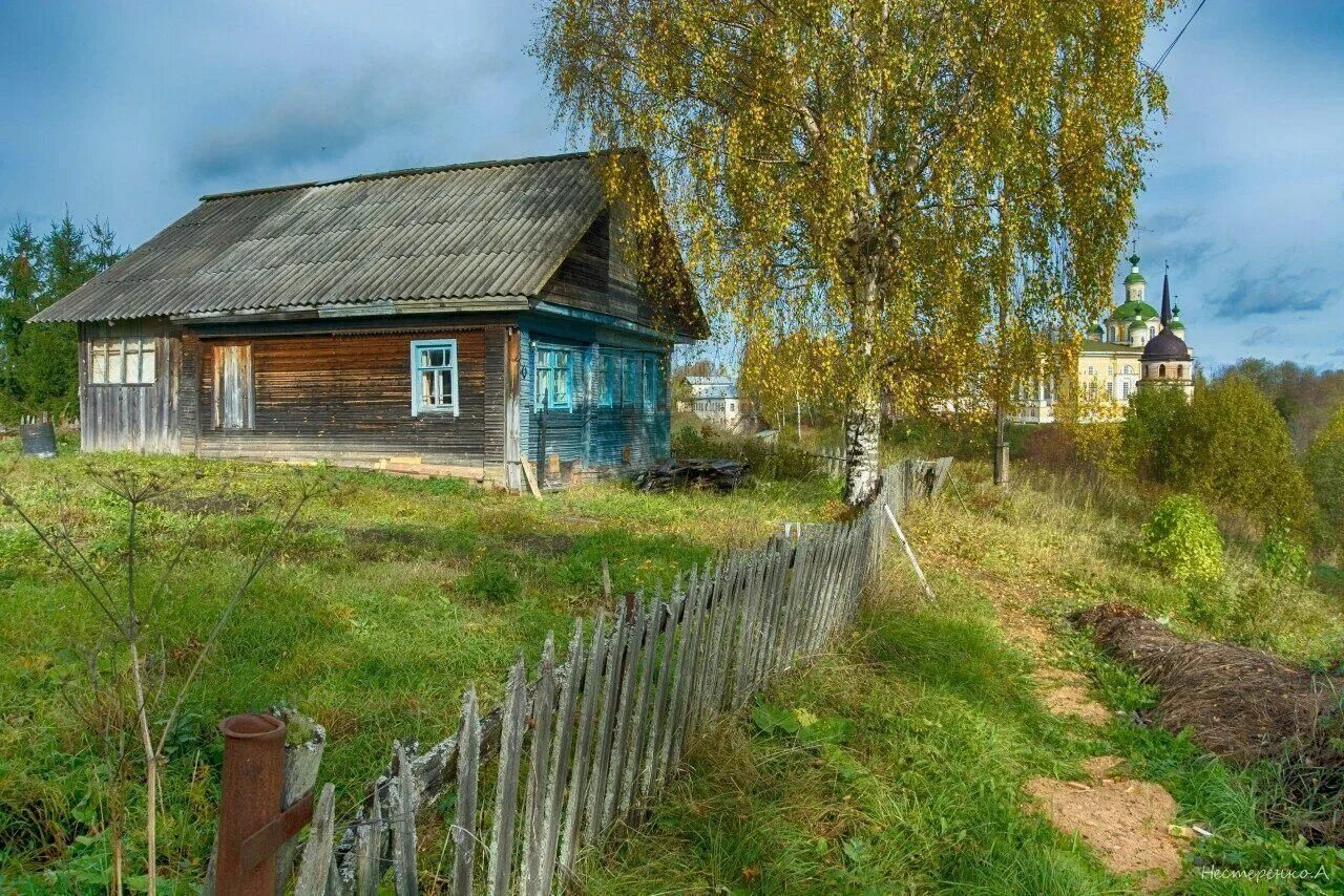 Покровское Вашкинский район Вологодской области. Село Покровское Вологодской области Вашкинского района. Деревня берег Вологодская область Вашкинский район. Заброшенные деревни Вашкинского района Вологодской области. Все лето я жил в деревне