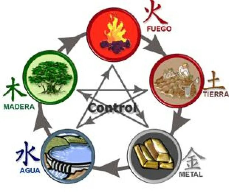 Дерево металл вода. Круговорот стихий фен шуй. Дерево огонь земля металл вода. 5 Элемент. Пять стихий.