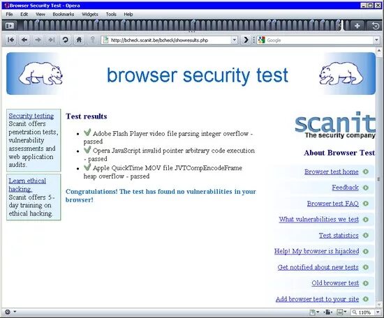 Тетя проверяет браузер. Диагностика браузера. Поиск уязвимостей. Тестирование безопасности ИС. Пример безопасности тестирование сайта.