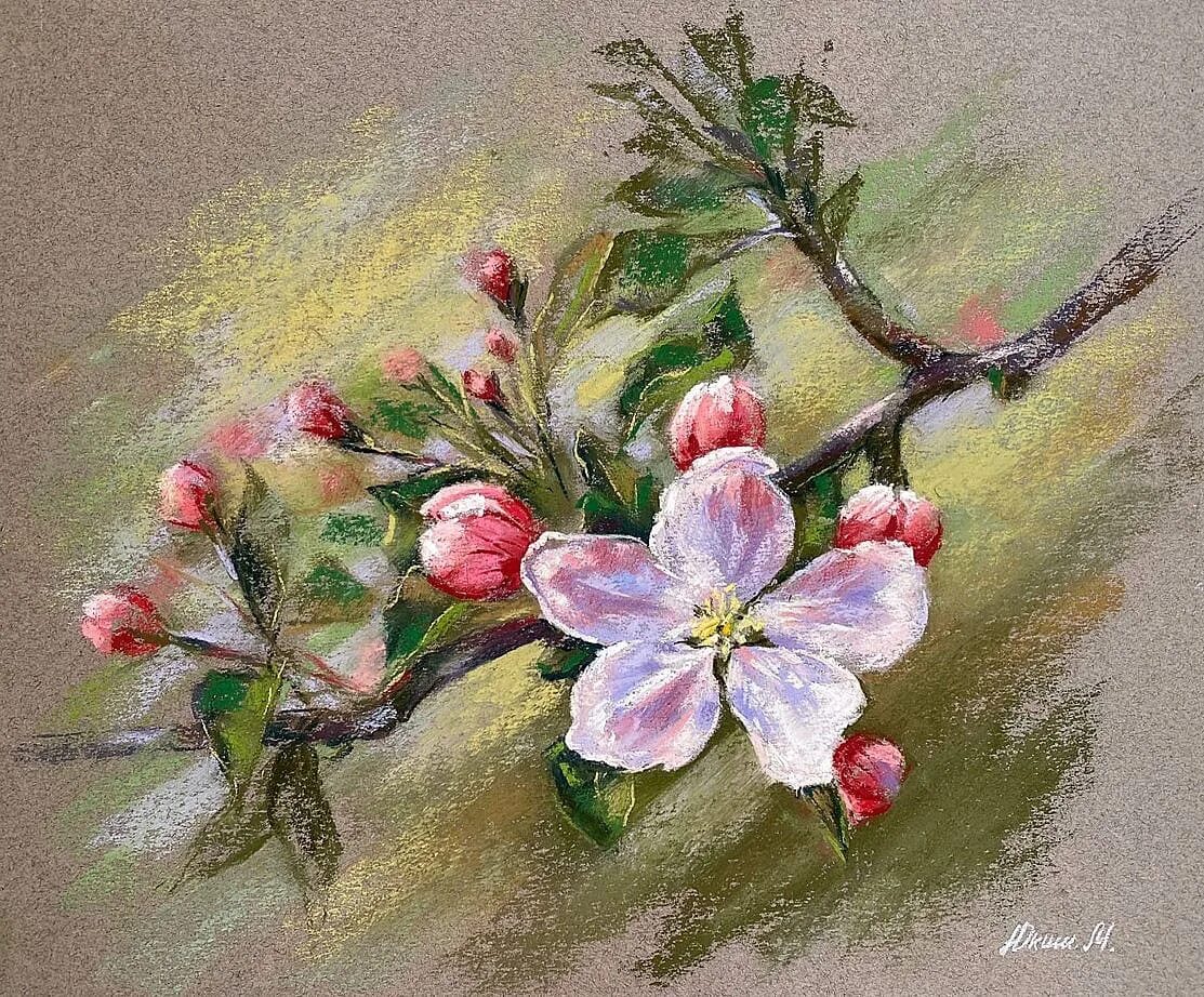 Цветок сухой пастелью. Марина юкиш пастель. художница марина юкиш. марина юкиш сухая пастель. художник марина юкиш картины пастелью.