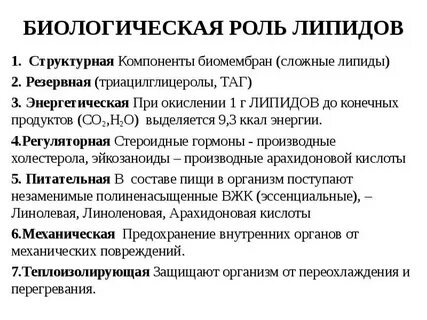 Характеристика липидов биология