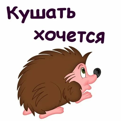 Не хочется есть форум