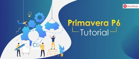Primavera p6