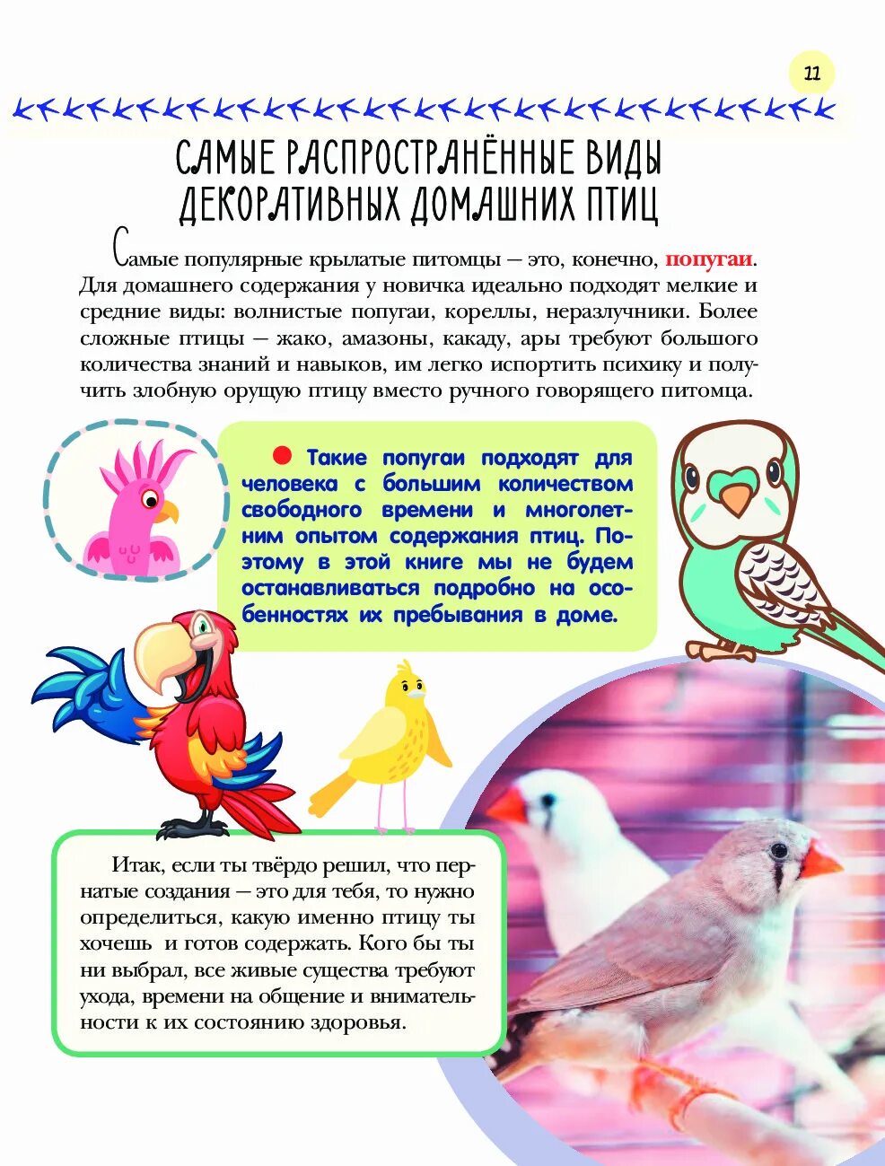 Виды содержания птиц. Книга птичка за птичкой. птицы домашние питомцы. издательство аст птицы. н. л. аронова &quot;птицы&quot;.