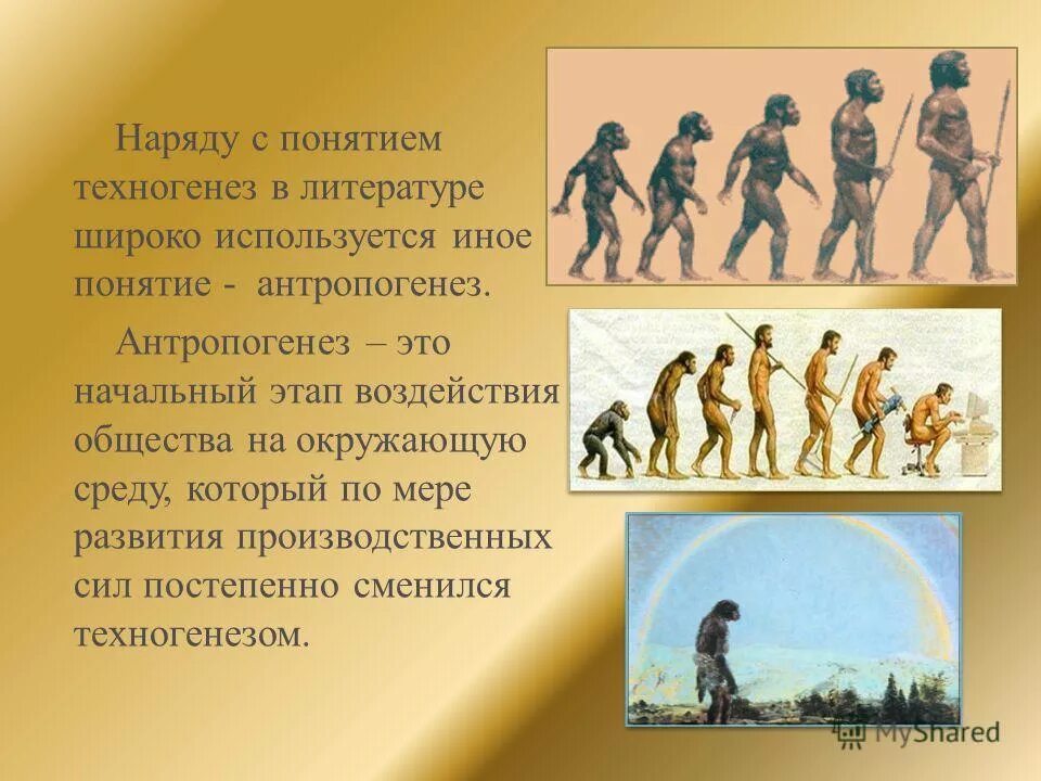 основные этапы антропогенеза человека. ступени развития человека антропогенез. начальные этапы развития искусства в антропогенезе. этапы человеческой истории. начальные этапы развития искусства в антропогенезе.