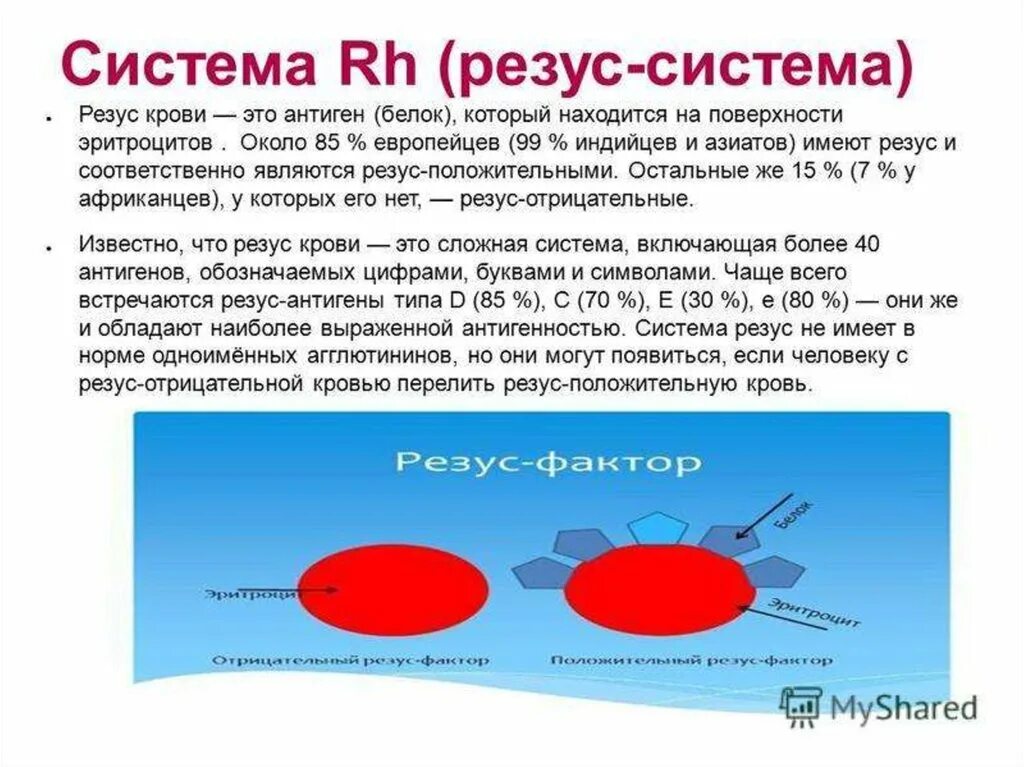 Антиген ковид. Группы крови человека: система резус-фактора.. Резус-фактор крови положительный. Система rh эритроцитов резус фактор. Резус антигенная система крови.