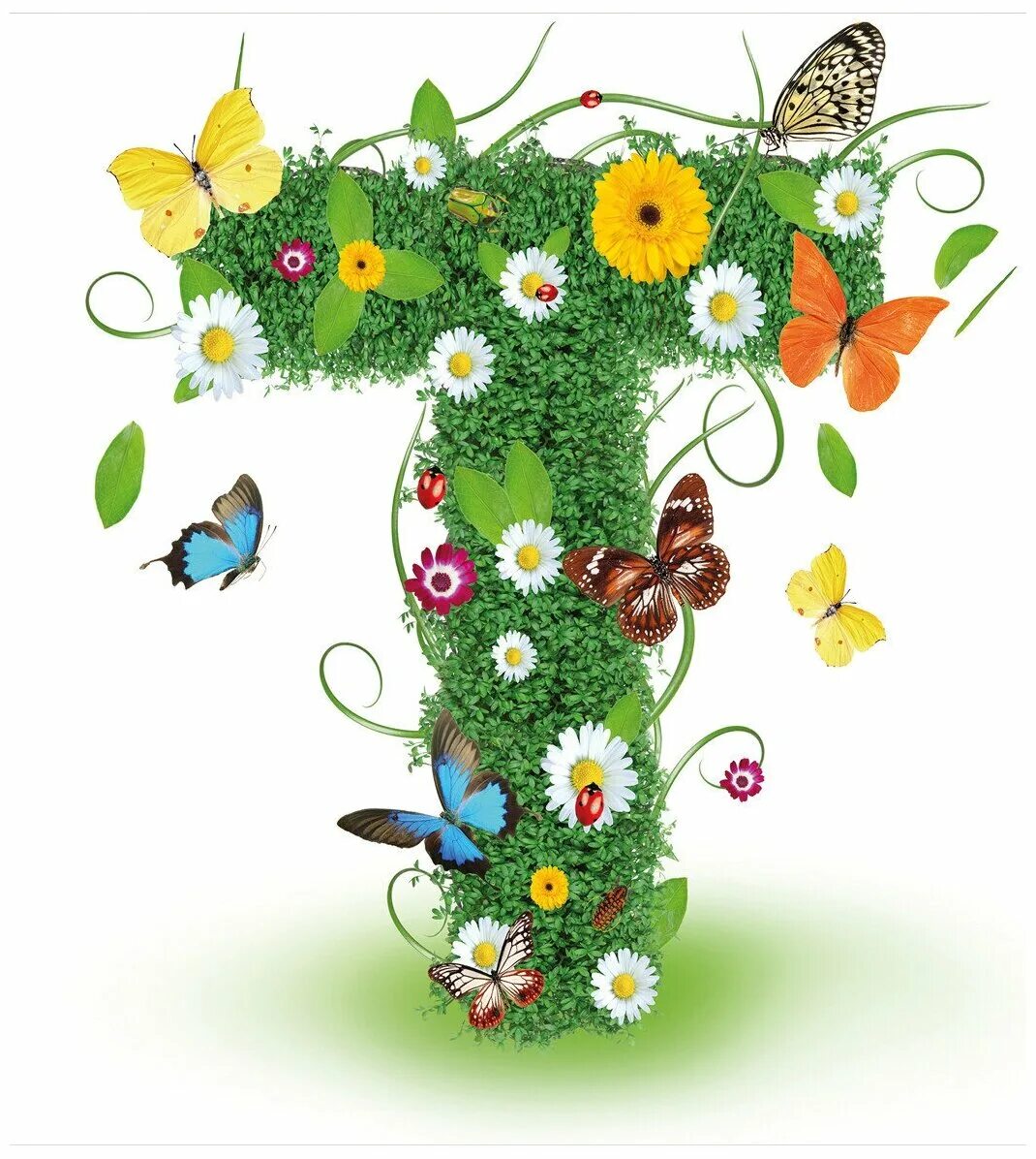 найти из букв растение.