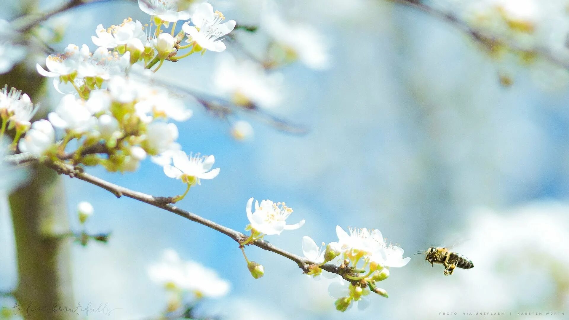 The beginning of spring march april is