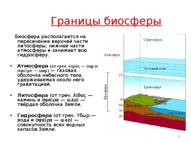 Биосфера границы биосферы среды. Структура оболочки биосферы. Атмосфера литосфера гидросфера Биосфера Тропосфера стратосфера. Строение биосферы земли. Где проводят верхнюю и нижнюю границу биосферы