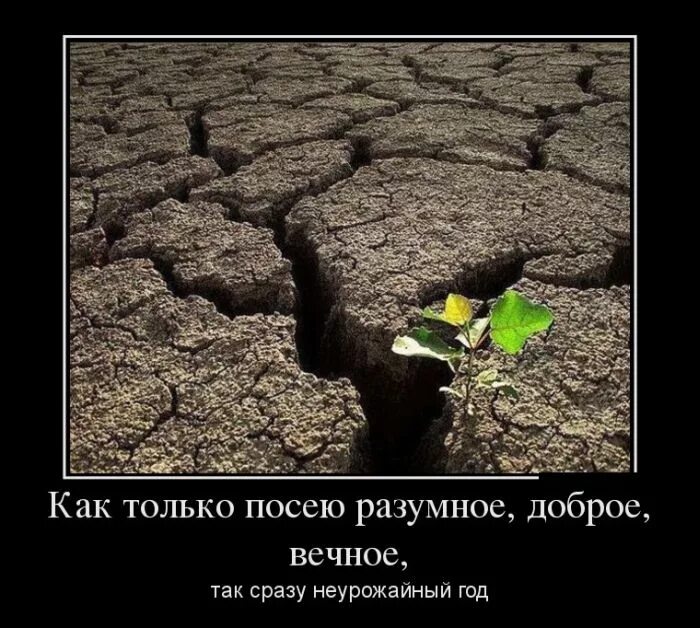 Сейте разумное доброе вечное автор. Наш класс дружные добрые веселые. Сейте разумное доброе вечное. Добро разумное. Сейте разумное доброе вечное автор.