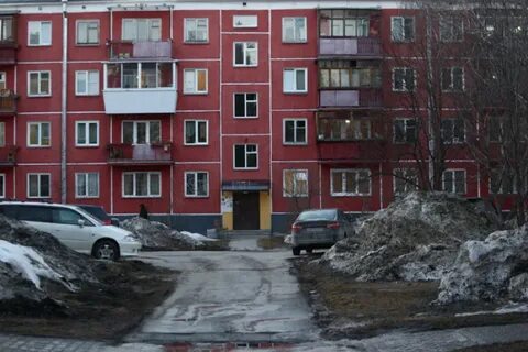 Новосибирский живу