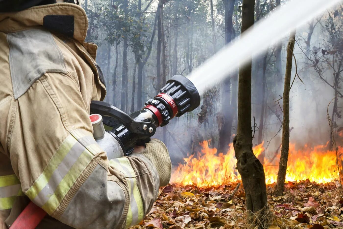 Тушение пожара в лесу. Лесные пожарные. Пожарные тушат пожар в лесу. Пожар в лесу тушат пожарники.