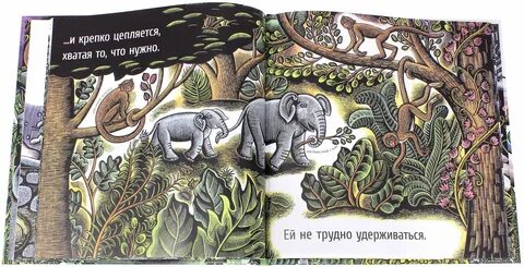 Карьера пресс