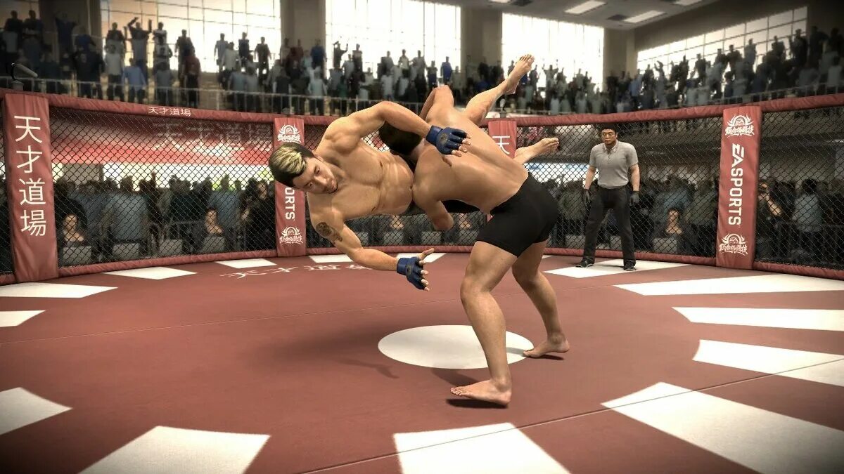 Мма игры будущего. ММА 2010 ПС 3. Игра EA Sports MMA. EA Sports MMA 2010. Игра EA Sports MMA ps3.