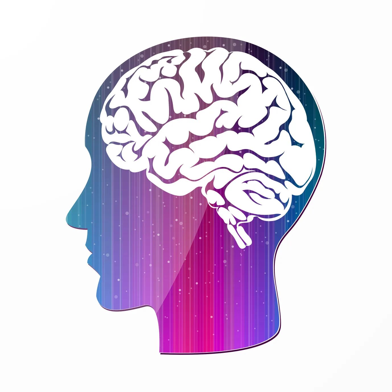 Processing brains