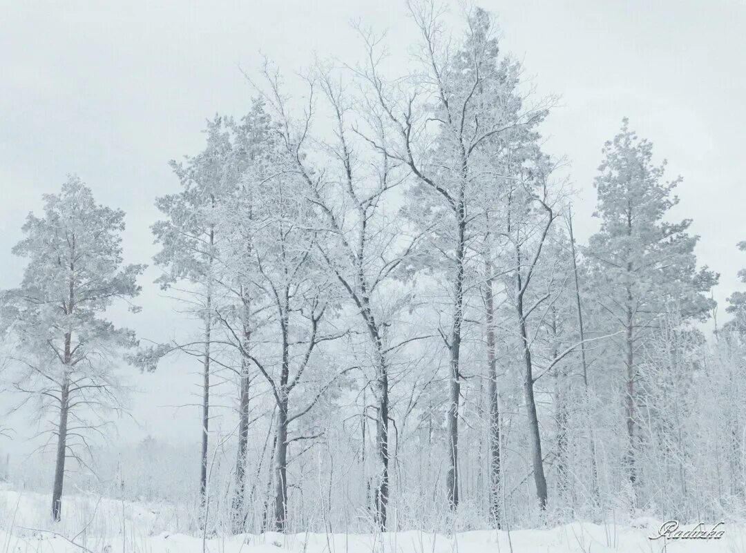 Мети пургу. Метет метель. Заметелило, завьюжило. Заметеленные. Февраль 2024 год природа в Самара.