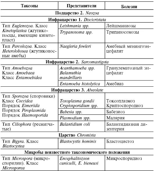 Положение на латыни. Классификация простейших микробиология. Таблица простейшие паразиты человека дизентерийная амеба. Кишечная амеба систематика. Сравнительные таблицы простейшие паразиты.