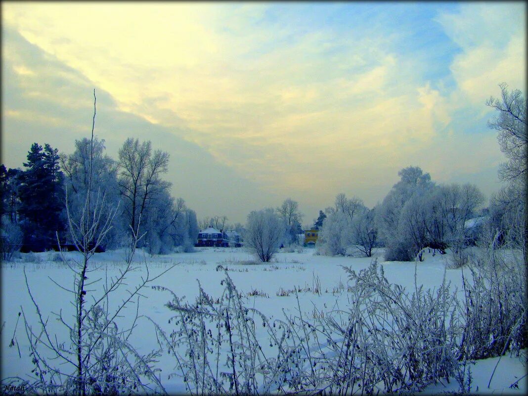 Доброе утро зима птицы. Утро зима. Доброе утро зима. Зимний пейзаж. Зима птицы.