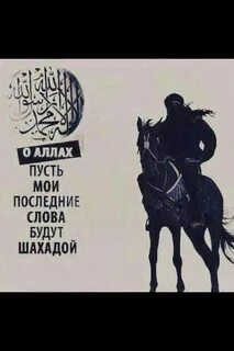 Храбрость не продлит мне