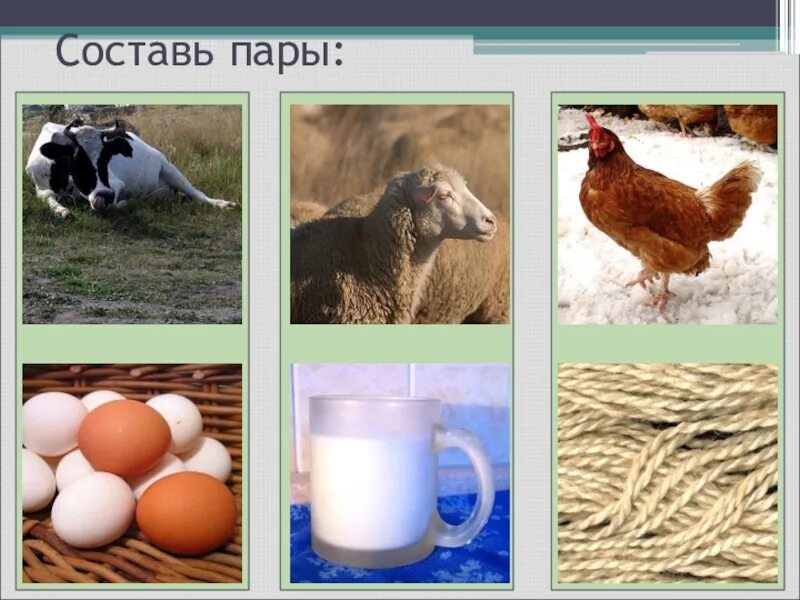 Домашние животные их значение. Домашних животных в жизни человека. полезные домашние животные. польза домашних животных. домашние животные 2 класс окружающий мир.