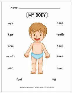 Parts of the body worksheets