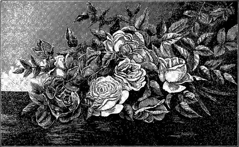Old design
