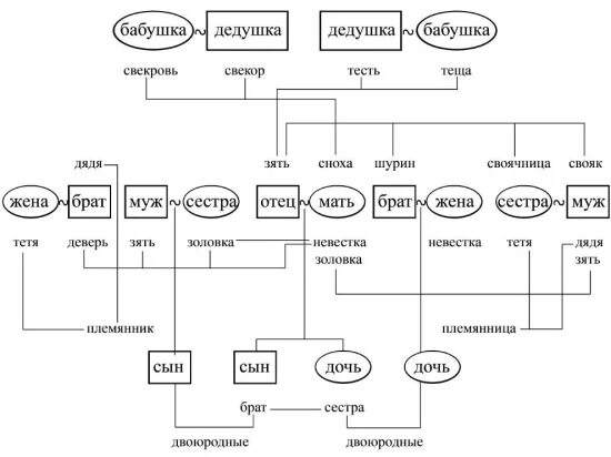 Является ли муж ближайшим родственником. Древо семьи кто кем приходится. Семейное Древо с названиями родственников. Дерево родственных отношений схема. Родственные связи схема генеалогия.