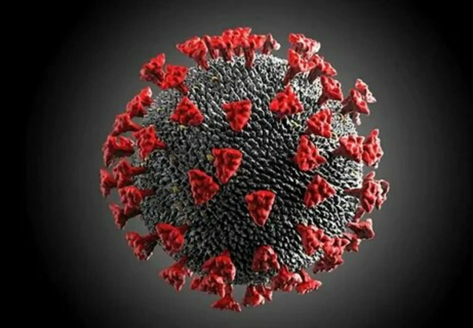 Вирус ковид 19 под микроскопом. Ковид coronavirus. Как выглядит вирус коронавируса. Вирус коронавируса под микроскопом.