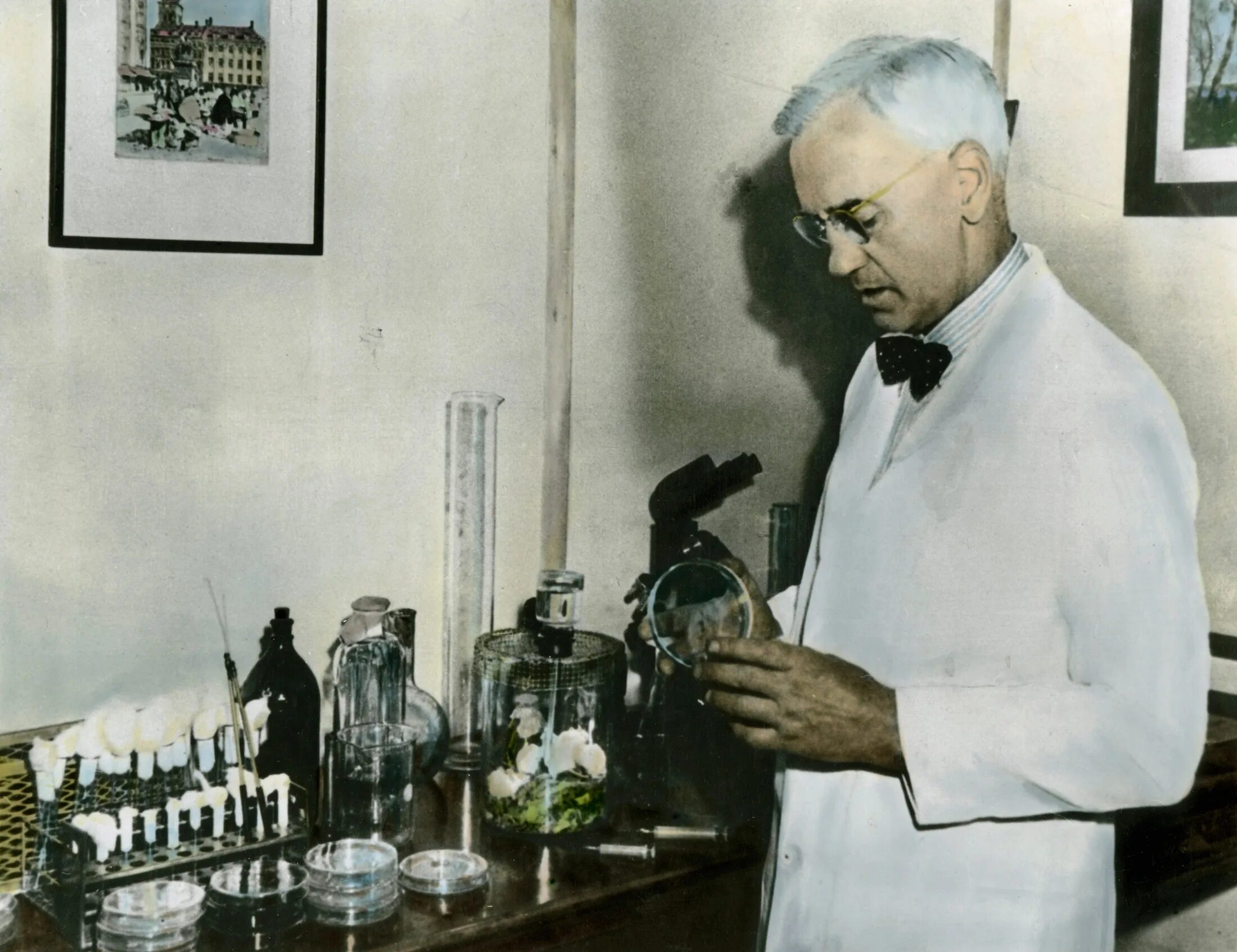 флеминг ученый. Fleming discovered penicillin. флеминг пенициллин. Fleming discovered penicillin. флеминг ученый.