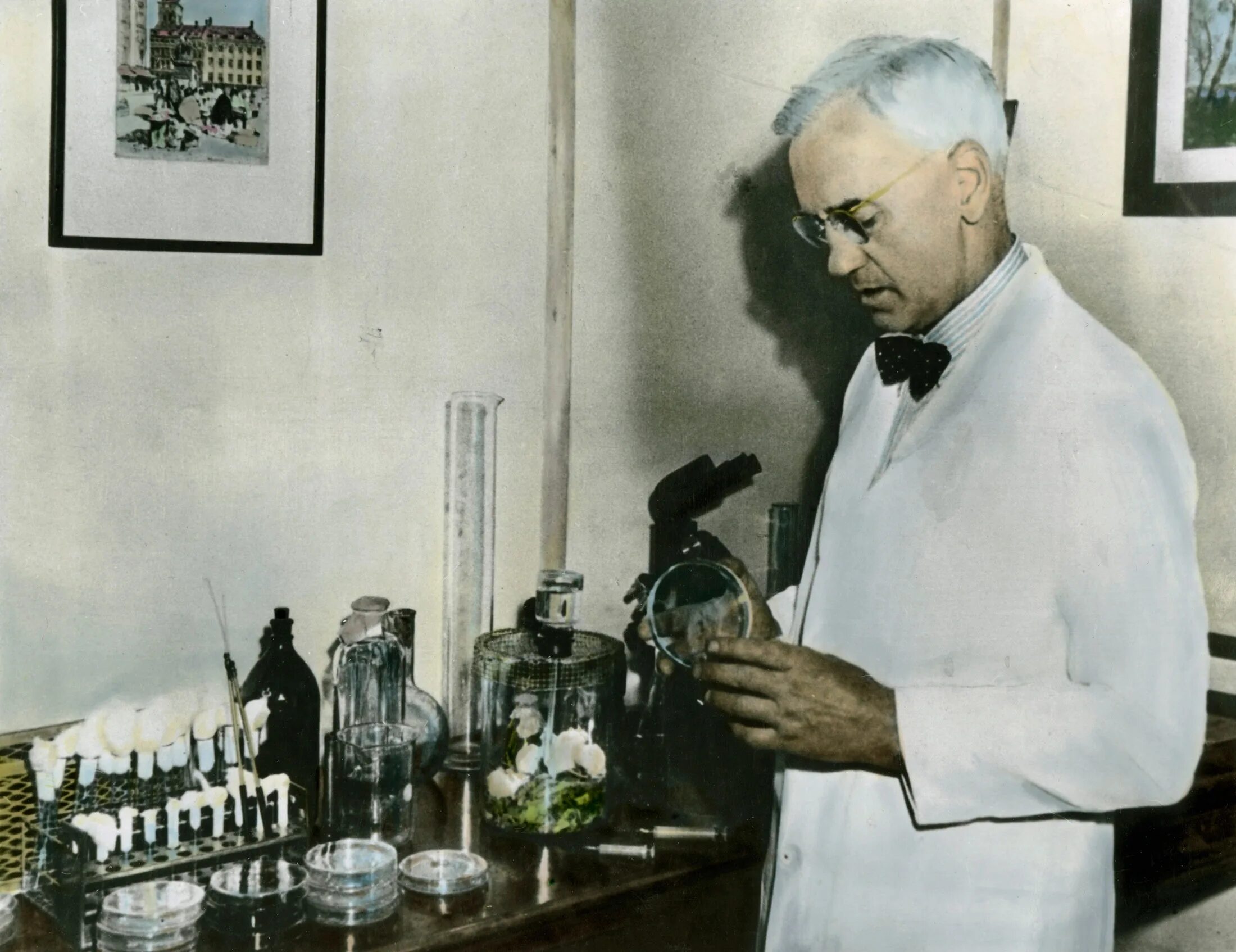 Alexander fleming discovered penicillin. Alexander Fleming. Флеминг ученый.