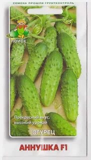 Огурцы сорт аннушка