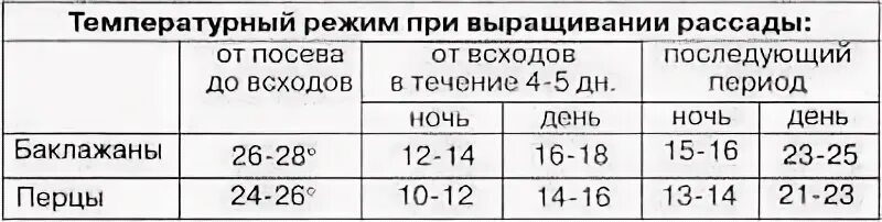 При какой температуре растить рассаду помидоров