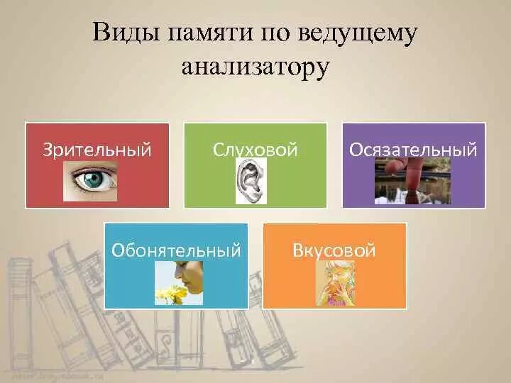 Сенсорный тип памяти. Виды памяти по анализатору. виды памяти по ведущему анализатору. типы памяти зрительная слуховая. 4 вида памяти у человека.
