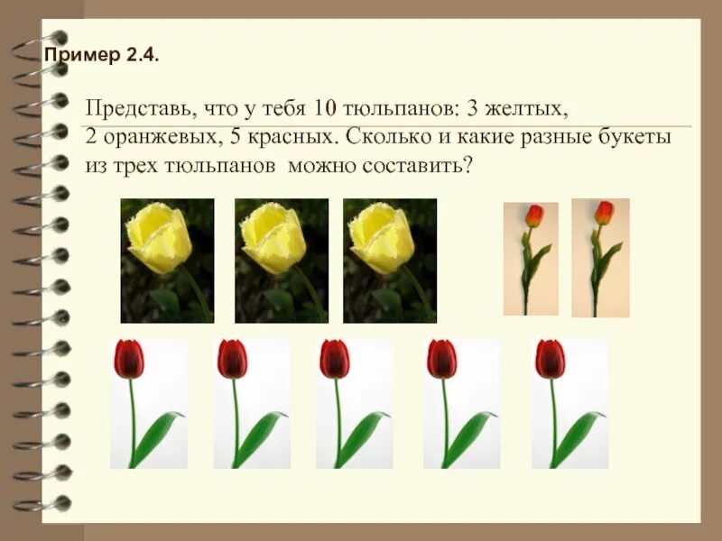 На клумбе 42 тюльпана из них 24. Три тюльпана. математика тюльпаны. два цветка разных тюльпана. 3 тюльпаны разных цветов.
