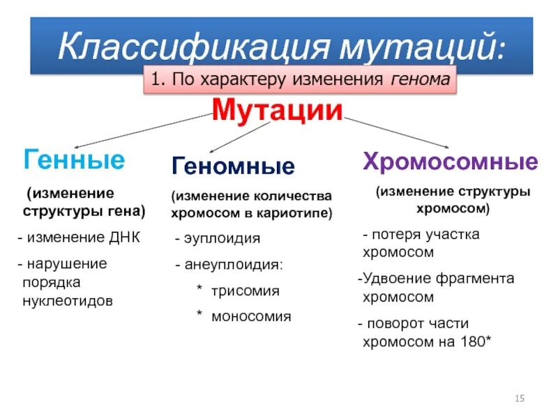 С изменением структуры хромосом связаны