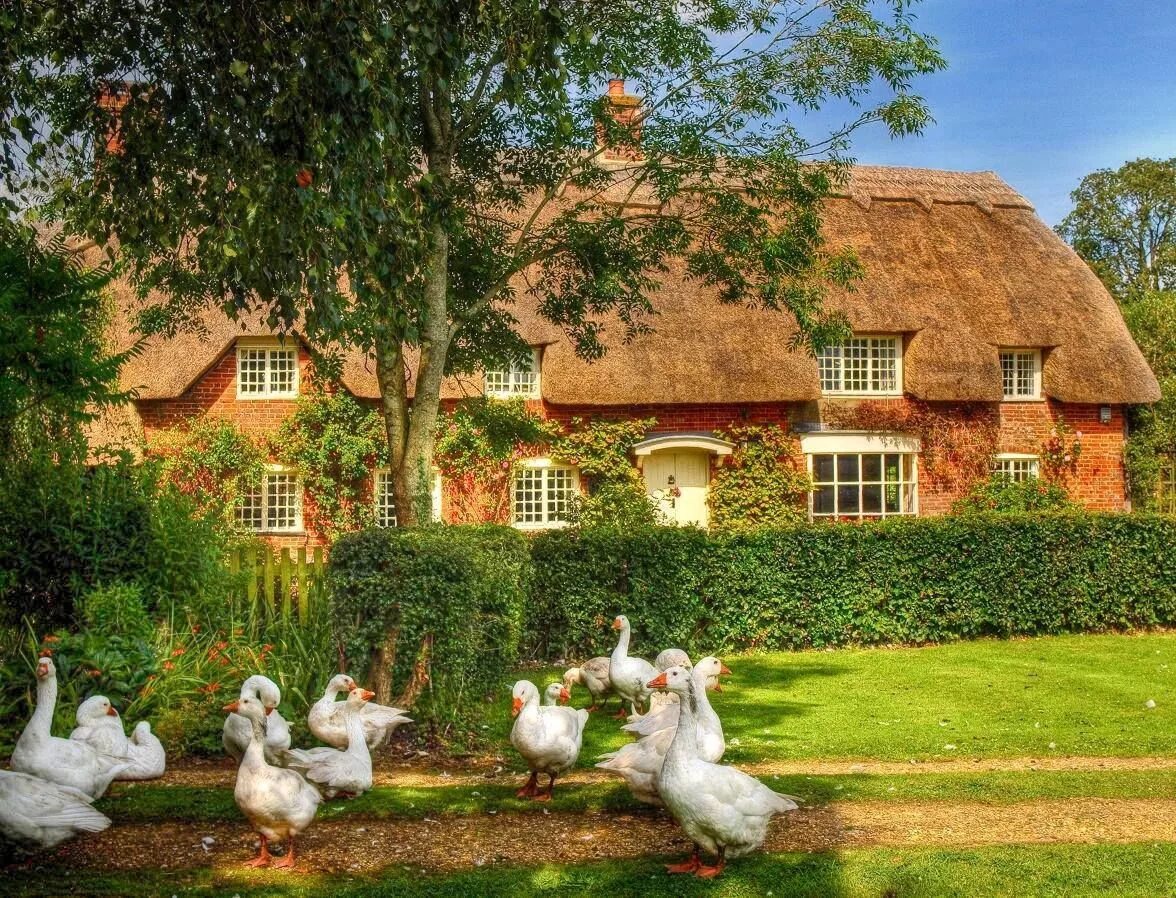 Village на английском. Гэмпшир Англия. Хэмпшир графство Англия. Поместья Хэмпшир Англия. Сельский дом в Британии.