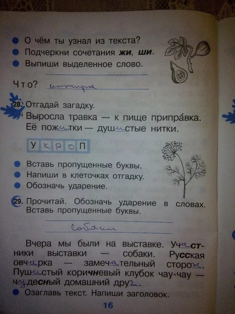 Русский 2 класс стр 57 рамзаева. Русский язык 2 класс рабочая стр16. русский язык 2 класс рабочая тетрадь стр 16. русский язык 2 класс рабочая тетрадь стр 16 ответы. рабочая тетрадь по русскому языку 2 класс рамзаева.