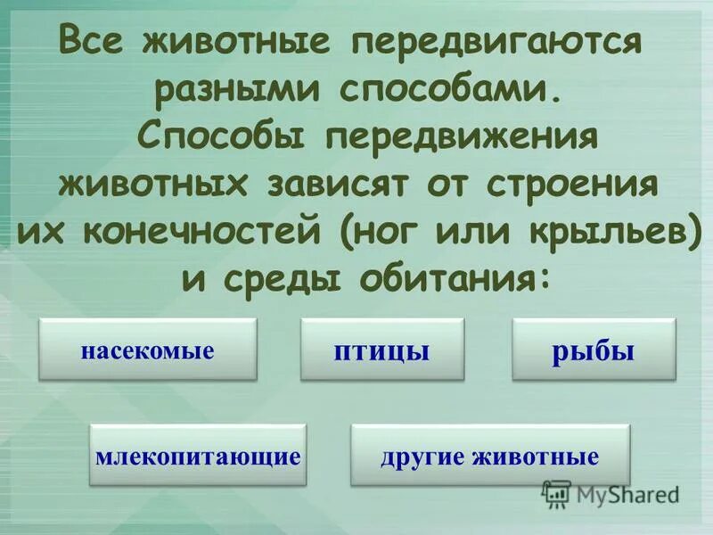 Особенности передвижения животных. Передвижение животных. Способы движения животных. Способы передвижения. Способы перемещения животных.