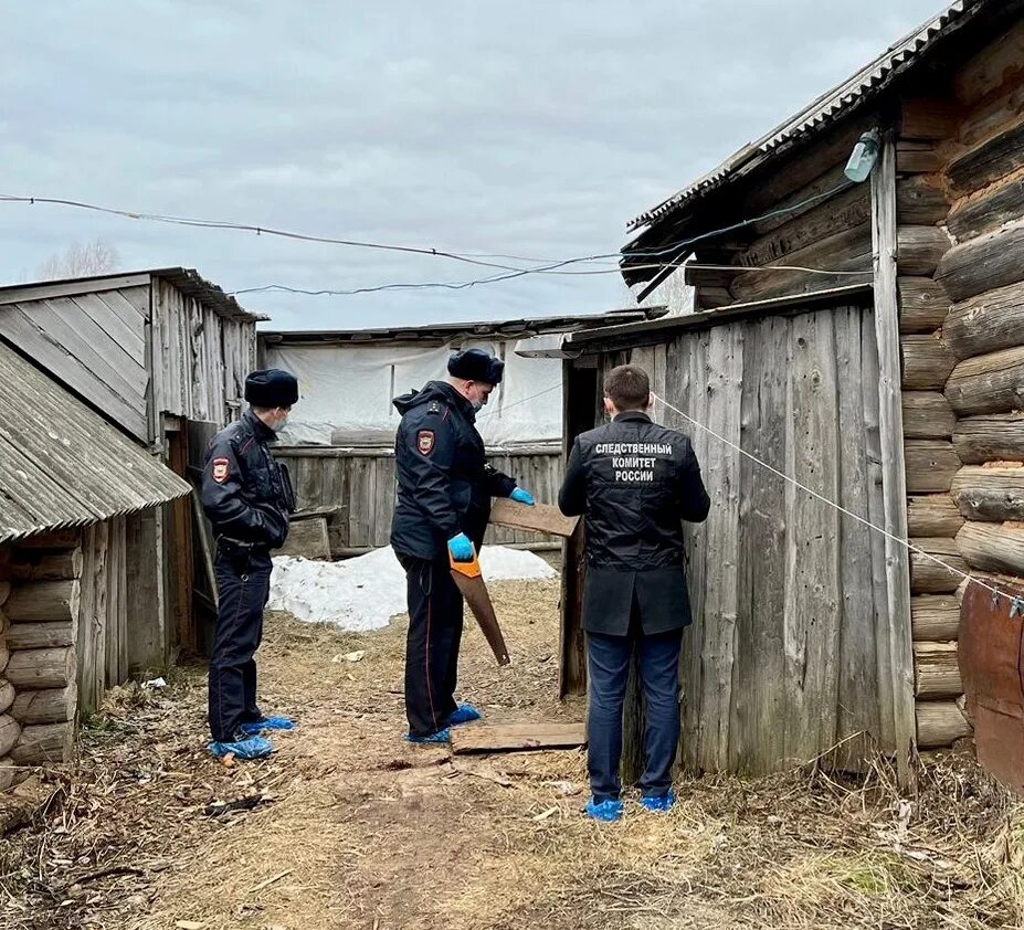 До пятнадцати лет лишения свободы. Уголовное дело. Село Сюмси Удмуртская Республика.