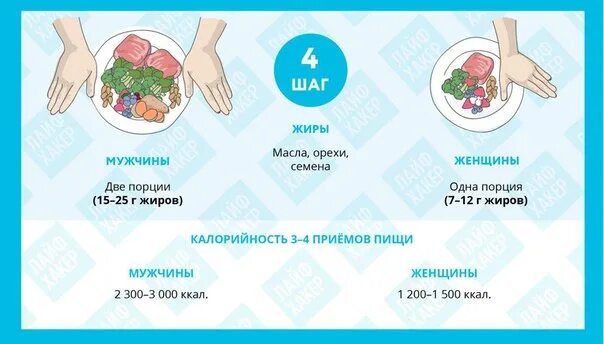 Американская диета. Рецепты в инфофографике. Размер порции. Примерный суточный набор продуктов для школьников. Суточный набор продуктов в день 1-3 лет.