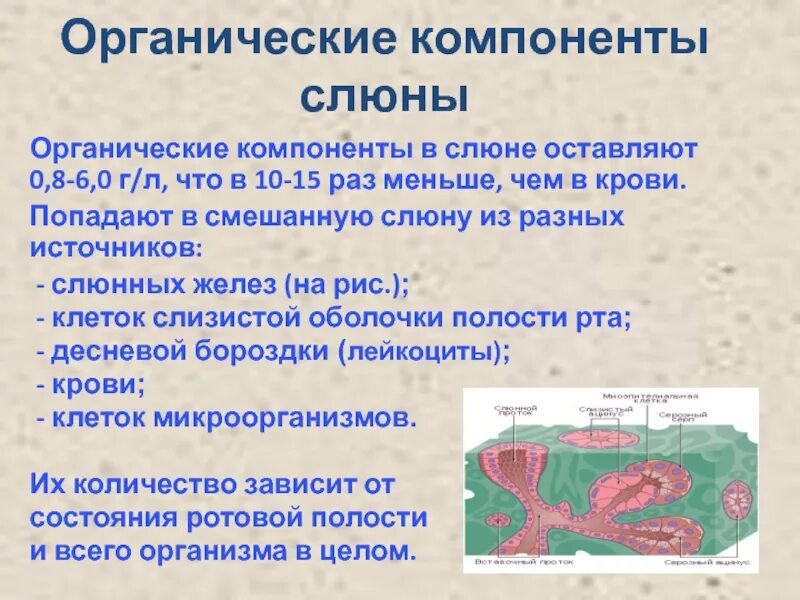 Наличие слюна. Органические компоненты слюны. Органические и неорганические компоненты ротовой жидкости.. Какие компоненты в слюне. Органические компоненты клетки.