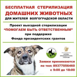 Стерилизация волгоград