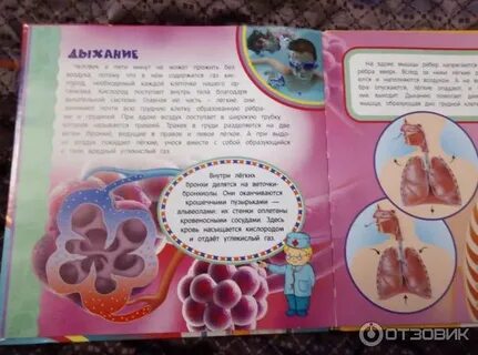 Странно устроен человек основа