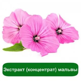 Экстракт мальвы